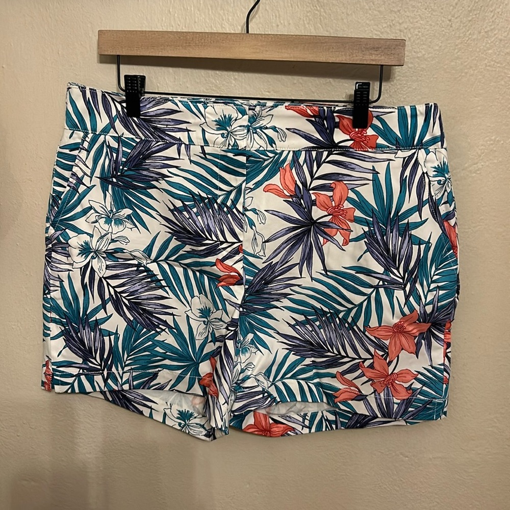 reCreation size 12 multi colored shorts